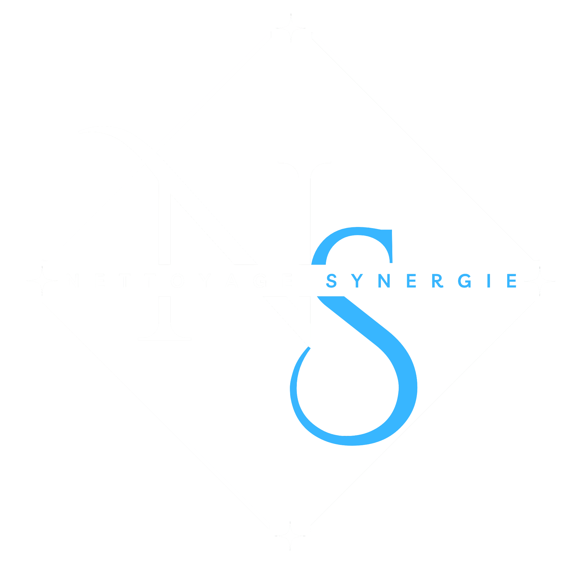 Nettoyage Synergie Logo